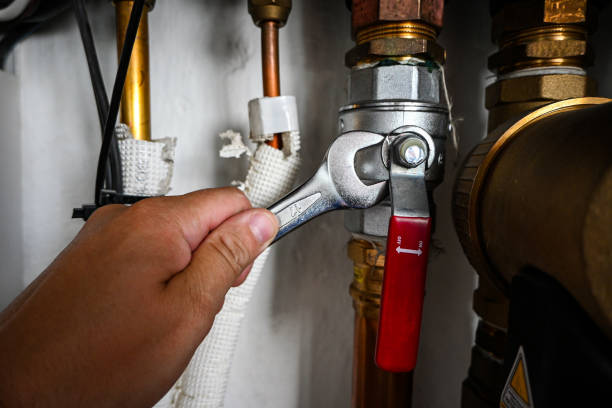 Best Commercial Plumbing Services  in Lindenhurst, IL